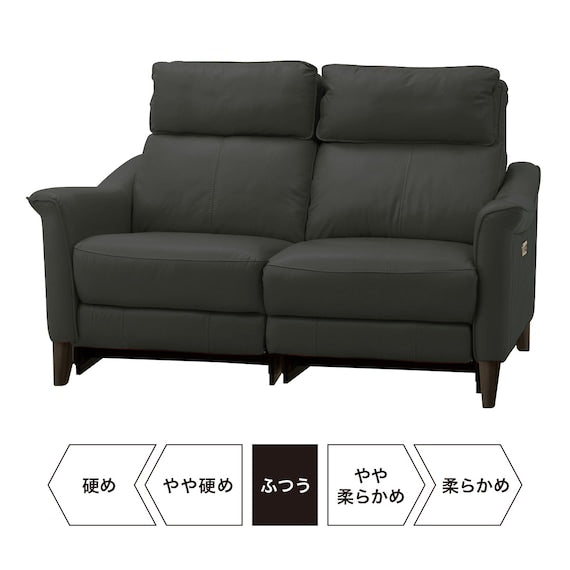 2P ELECTRIC SOFA CHERRYB SK GY