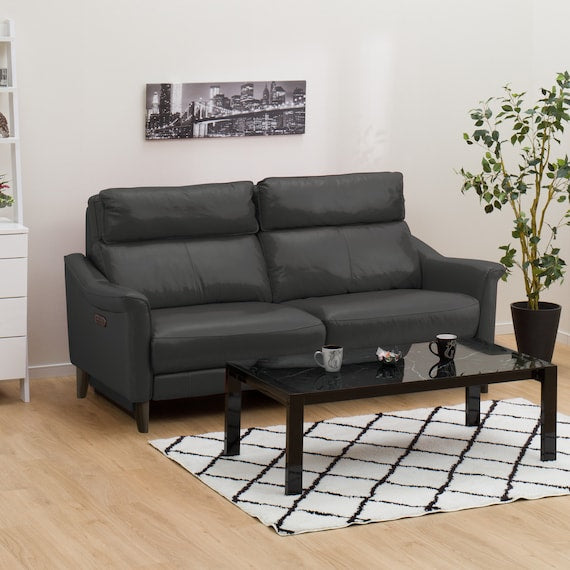 3P RA-ELECTRIC SOFA CHERRYB SK GY