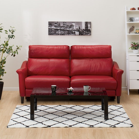 3P ELECTRIC SOFA CHERRYB NB LGY