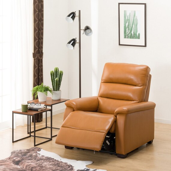 Phân loại Recliner Sofa