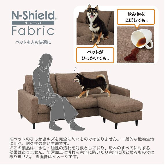 CS-02 COUCH N-SHIELD H-DGR