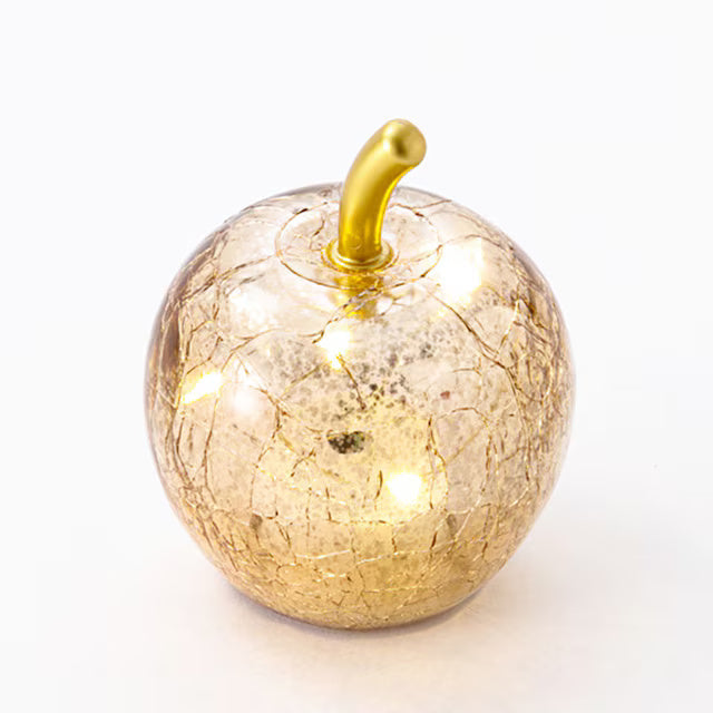 CHRISTMAS LED LIGHT APPLE GOLD RW-W2108 n4RW