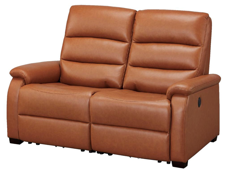 2S ELECTRIC SOFA N-BELIEVA BR2-SCF66 TK-LEATHER