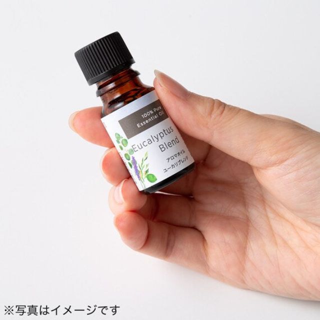 ESSENTIAL OIL EUCALYPTUS BLEND 10ML