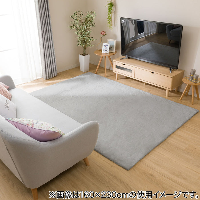 USAGI RUG3 200X285 LGY US02