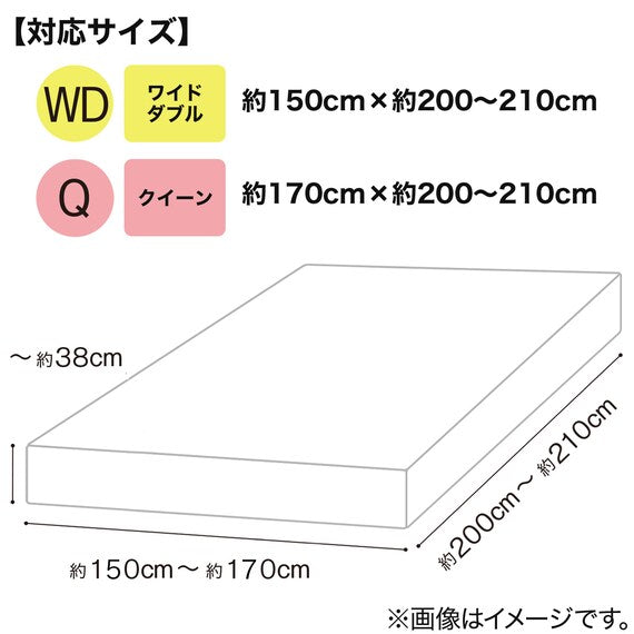 STRETCH FITMULTI SHEET N-FIT PALETTE YGR WD-Q