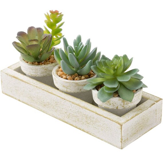 3PCS SUCCULENT WITH TRAY HA34315GN