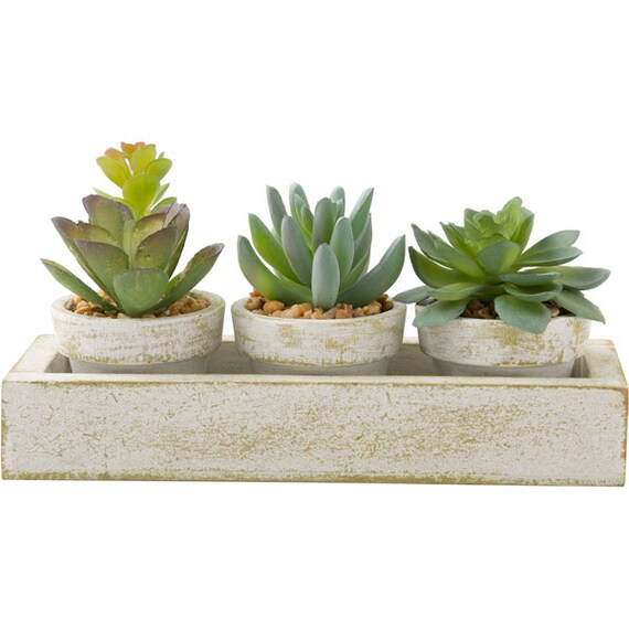 3PCS SUCCULENT WITH TRAY HA34315GN