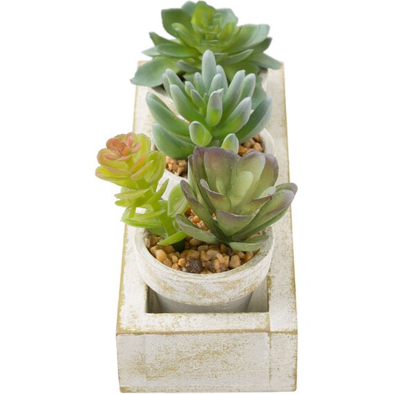 3PCS SUCCULENT WITH TRAY HA34315GN