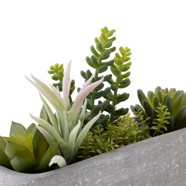 Succulent in Cement Pot HA31755GN