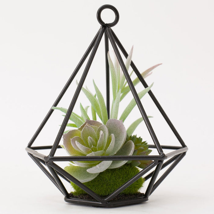 Succulent in Wire Stand HA324830MIX