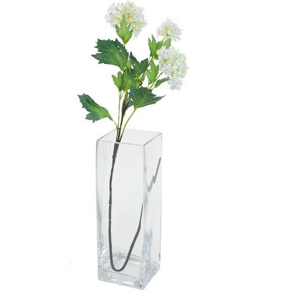 FLOWER VASE TANK 10X10X30 CS