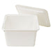 STORAGE BOX WITH LID N-ROBIN REGULAR WH