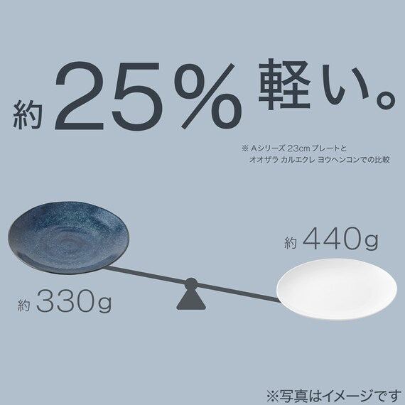 ULTRA LIGHT WEIGHT DISH TATEWAKU D12XH2