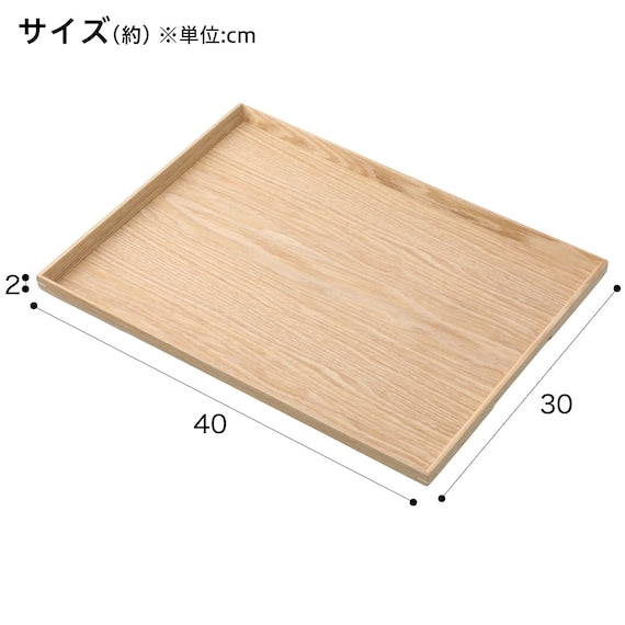 NON-SLIP TRAY  L