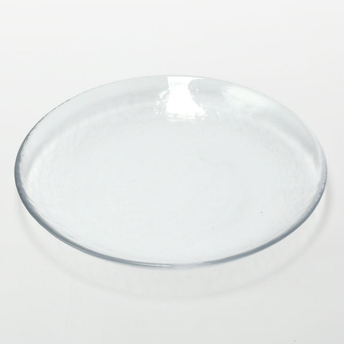 GLASS PLATE NTM09