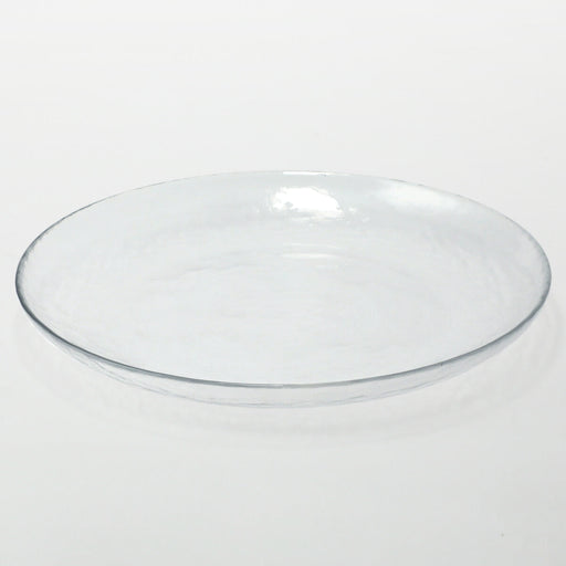 GLASS PLATE NTM01