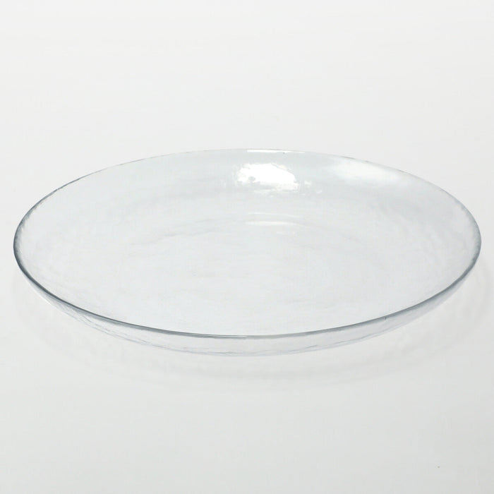 GLASS PLATE NTM01