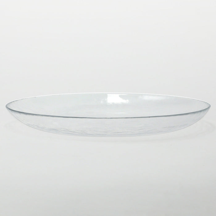 GLASS PLATE NTM01