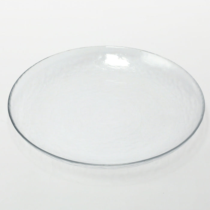 GLASS PLATE NTM01